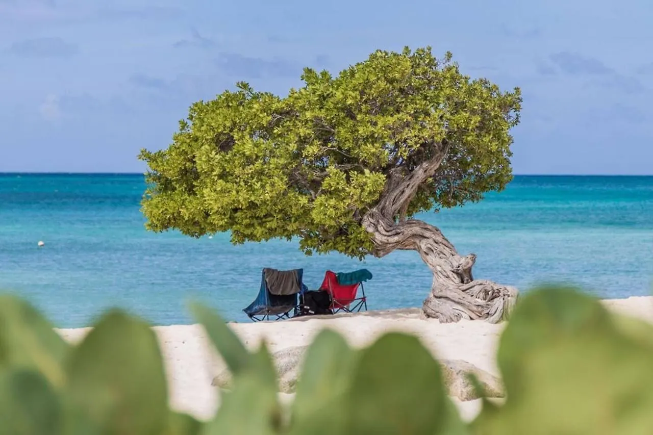 Aparthotel Breath Taking Beach Front Views Condo Eagle Beach Palm Beach Aruba